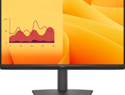 DELL MONITOR 21